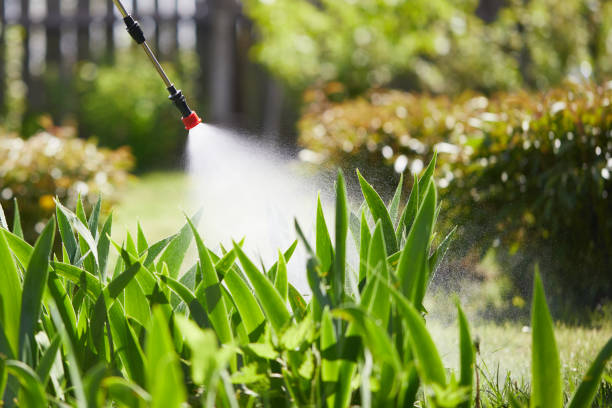 24/7 Emergency Cockroach Control experts in Eveleth, MN